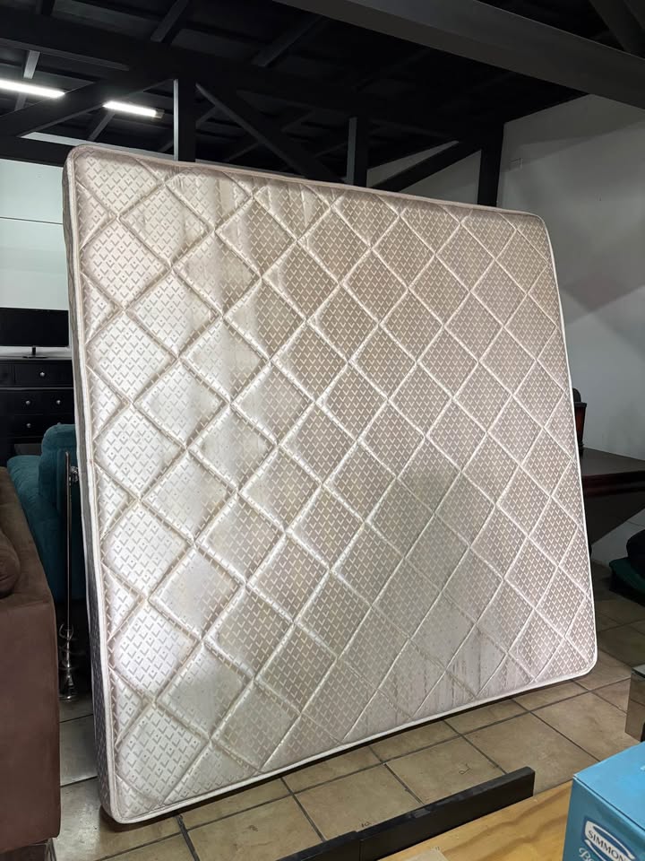 592150880_1187233766075494_8227147485715823275_n