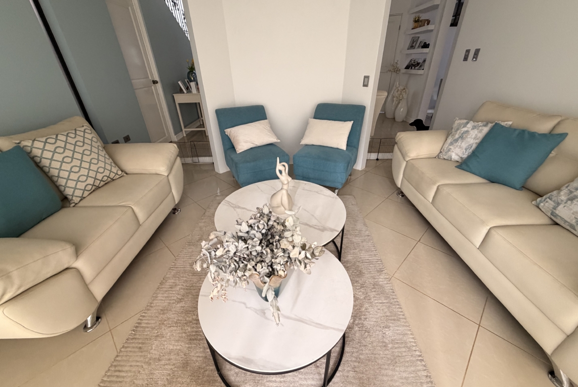 Juego muebles elegantes
