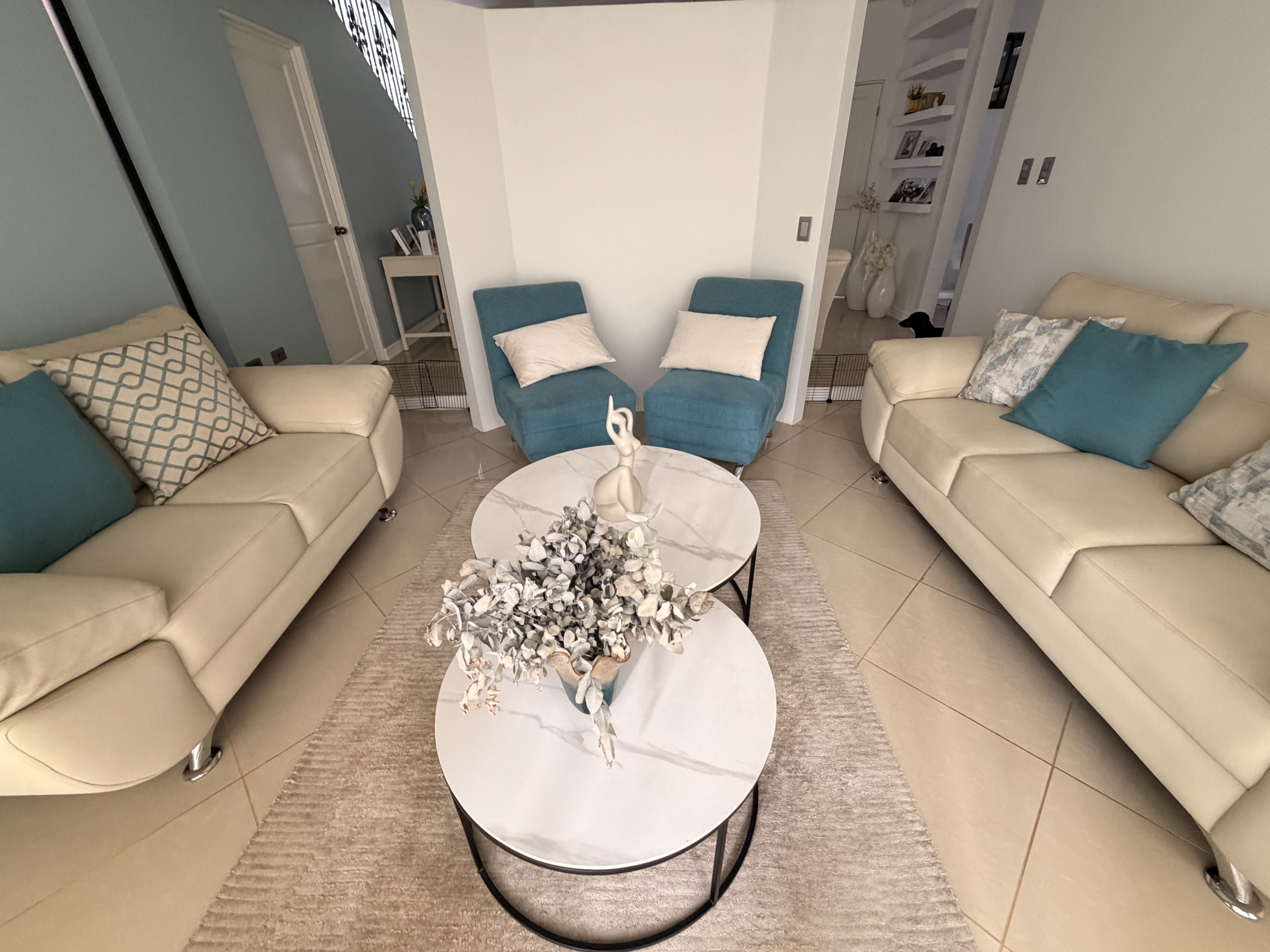Juego muebles elegantes
