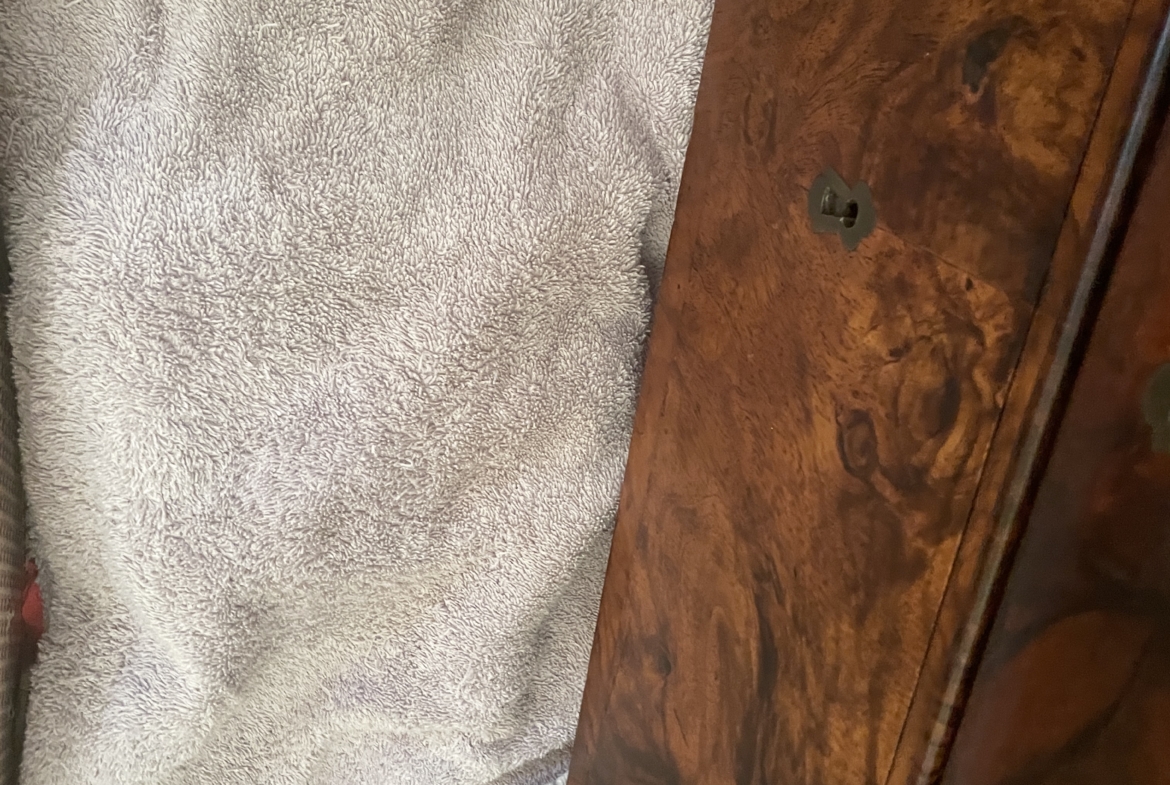 ANTIQUE BURL WOOD CHEST OF DRAWERS – c. 1820–1840